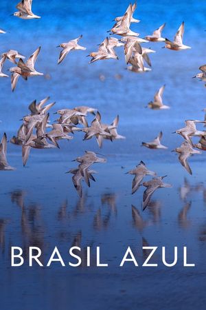 Blue Brazil's poster
