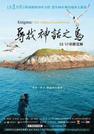 Enigma: The Chinese Crested Tern's poster