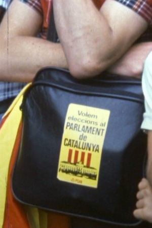 Som una nació's poster