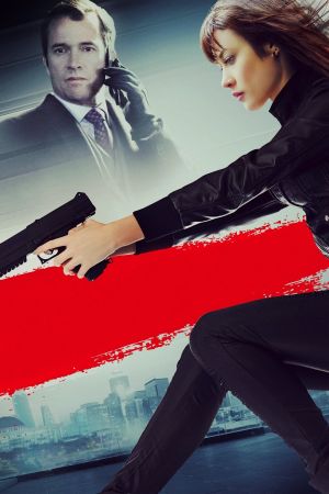 Momentum's poster