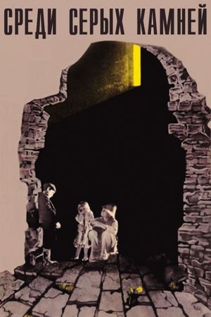 Among Grey Stones's poster