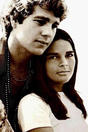 Love Story's poster