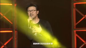 汪峰 岁月巡回演唱会's poster