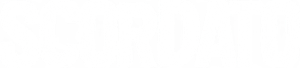 Scordato's poster