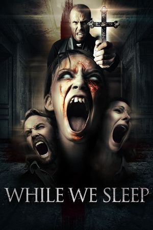 While We Sleep's poster