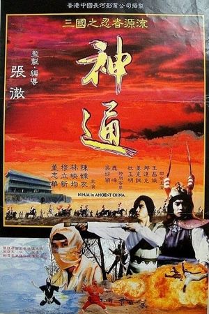 Ninja in Ancient China's poster