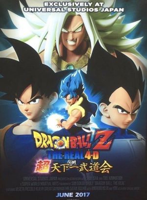 Dragon Ball Z: The Real 4-D at Super Tenkaichi Budokai's poster