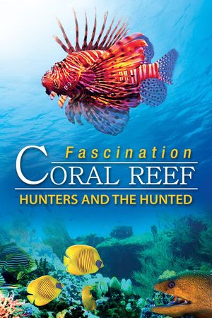 Fascination Coral Reef 3D: Hunters & the Hunted's poster