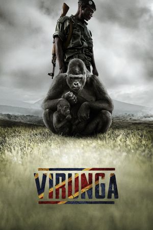 Virunga's poster