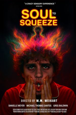 Soul to Squeeze's poster