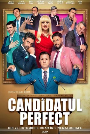 Candidatul perfect's poster