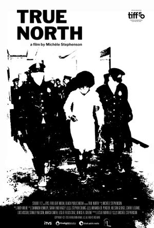 True North's poster image