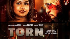 Torn's poster
