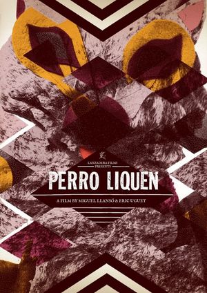 Perro Liquen's poster