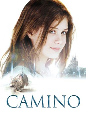 Camino's poster