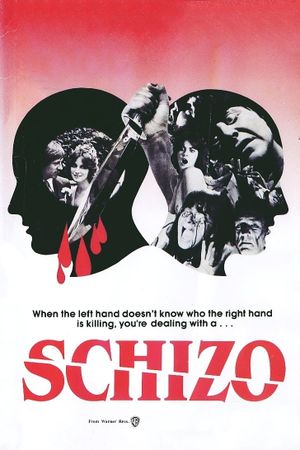 Schizo's poster