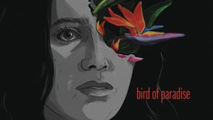 Bird of Paradise's poster