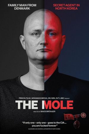 The Mole: Undercover in North Korea's poster