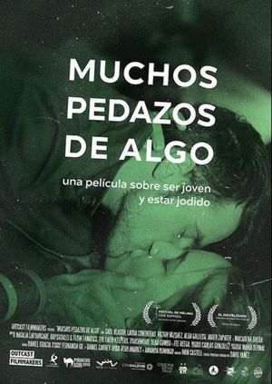 Muchos pedazos de algo's poster image