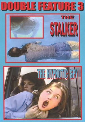 The Stalker's poster