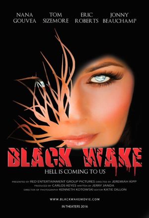 Black Wake's poster