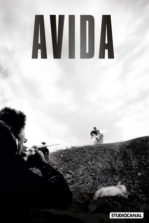 Avida's poster