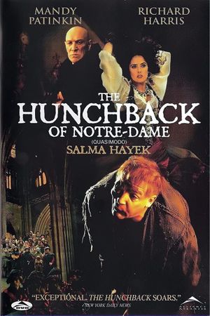 The Hunchback's poster
