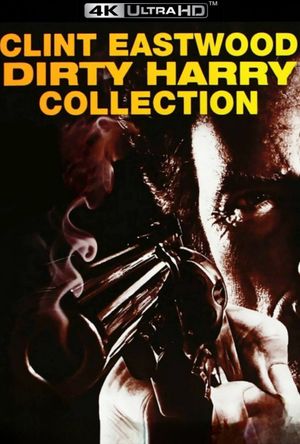 Dirty Harry's poster