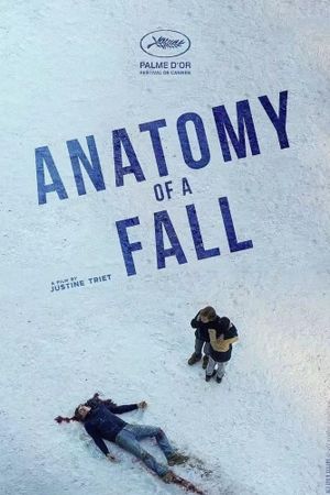 Anatomy of a Fall's poster