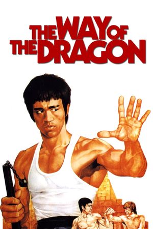 The Way of the Dragon's poster