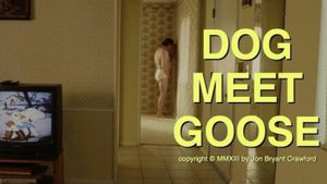 Dog Meet Goose's poster