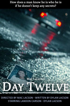 Day Twelve's poster image