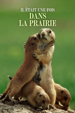 Il était une fois dans la prairie's poster