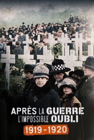 Après la guerre, l'impossible oubli (1919-1920)'s poster