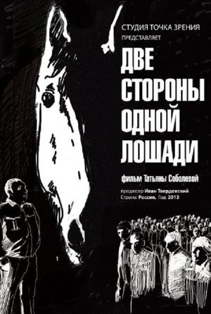 Two Sides of One Horse's poster image