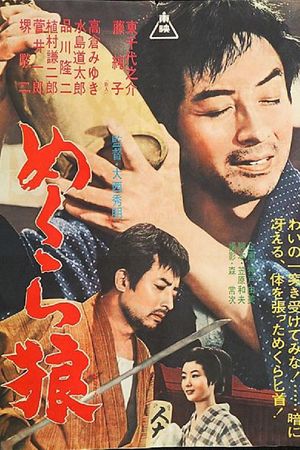Mekura okami's poster