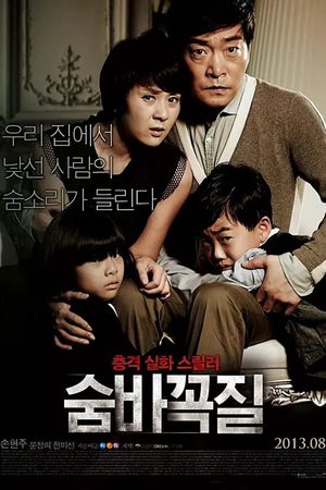 Hide and Seek's poster