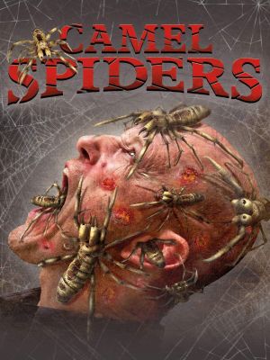 Camel Spiders's poster