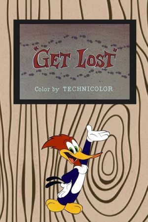 Get Lost's poster
