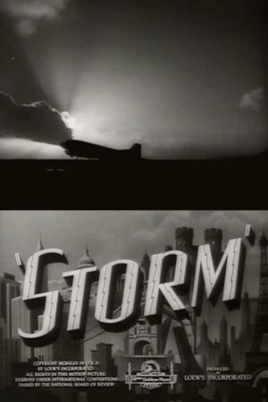 Storm's poster