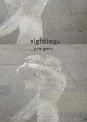 Sightings's poster