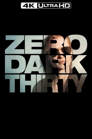 Zero Dark Thirty's poster