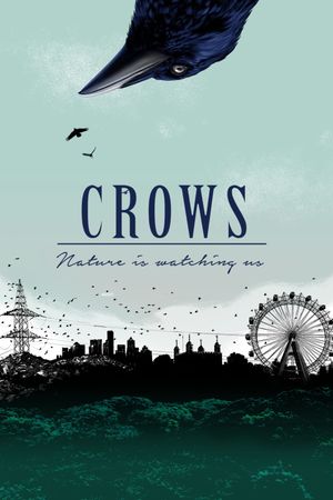 Crows - Nature Is Watching Us's poster