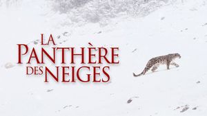 The Velvet Queen's poster