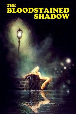 The Bloodstained Shadow's poster
