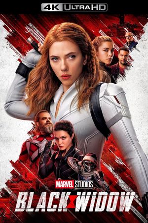 Black Widow's poster