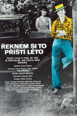 Reknem si to prístí léto's poster