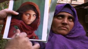 National Geographic : Search for the Afghan Girl's poster