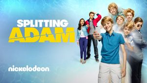 Splitting Adam's poster