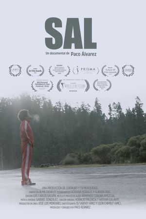 Sal's poster